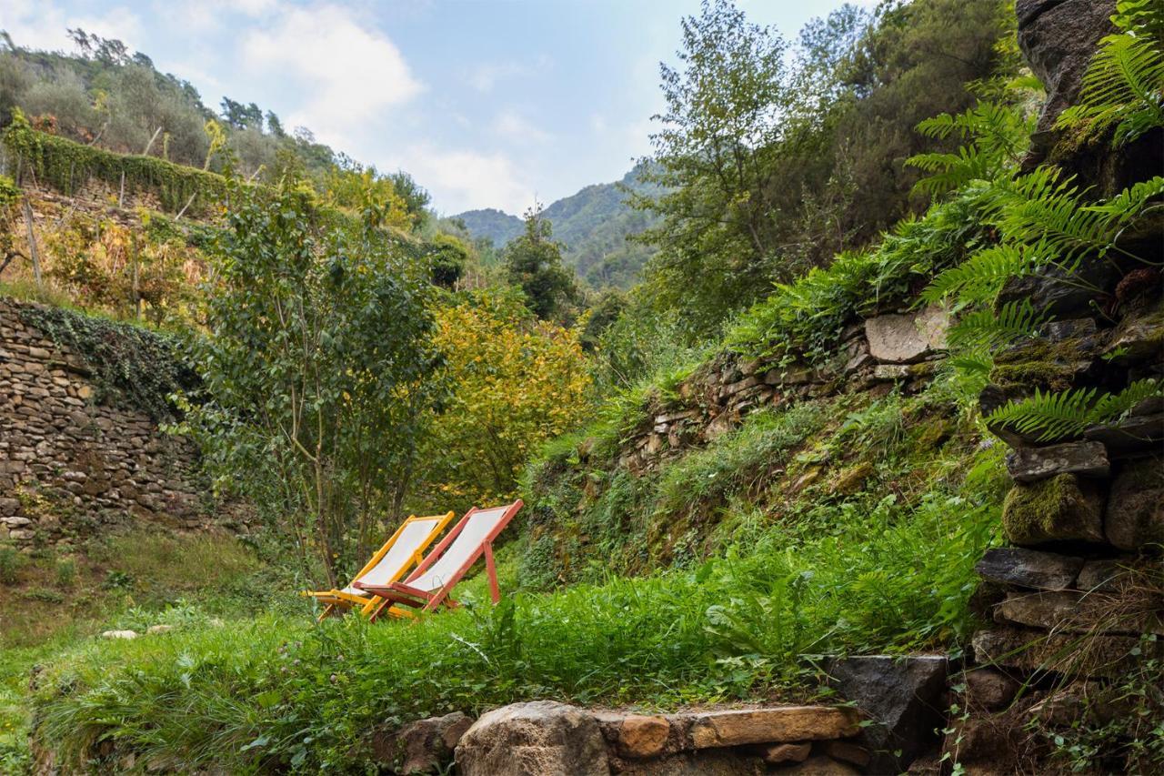 Agriturismo L'Adagio 巴达卢科 外观 照片